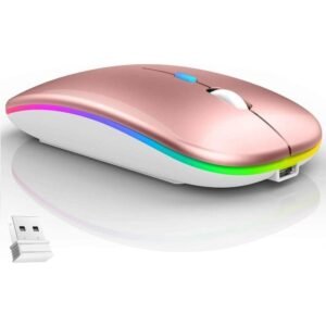 Mouse Slim S/fio - Pc Bluetooth Recarregável Led Rgb E-1300 Pro