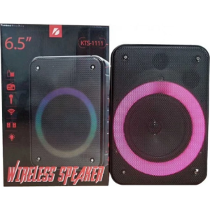 Caixa De Som Wireless Kts-1111 Bluetooth Fm Sd Microfone 20w